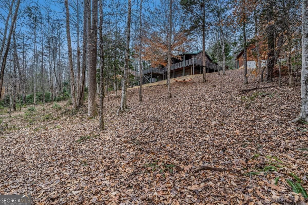 533 Mangums Trail Blue Ridge - 25