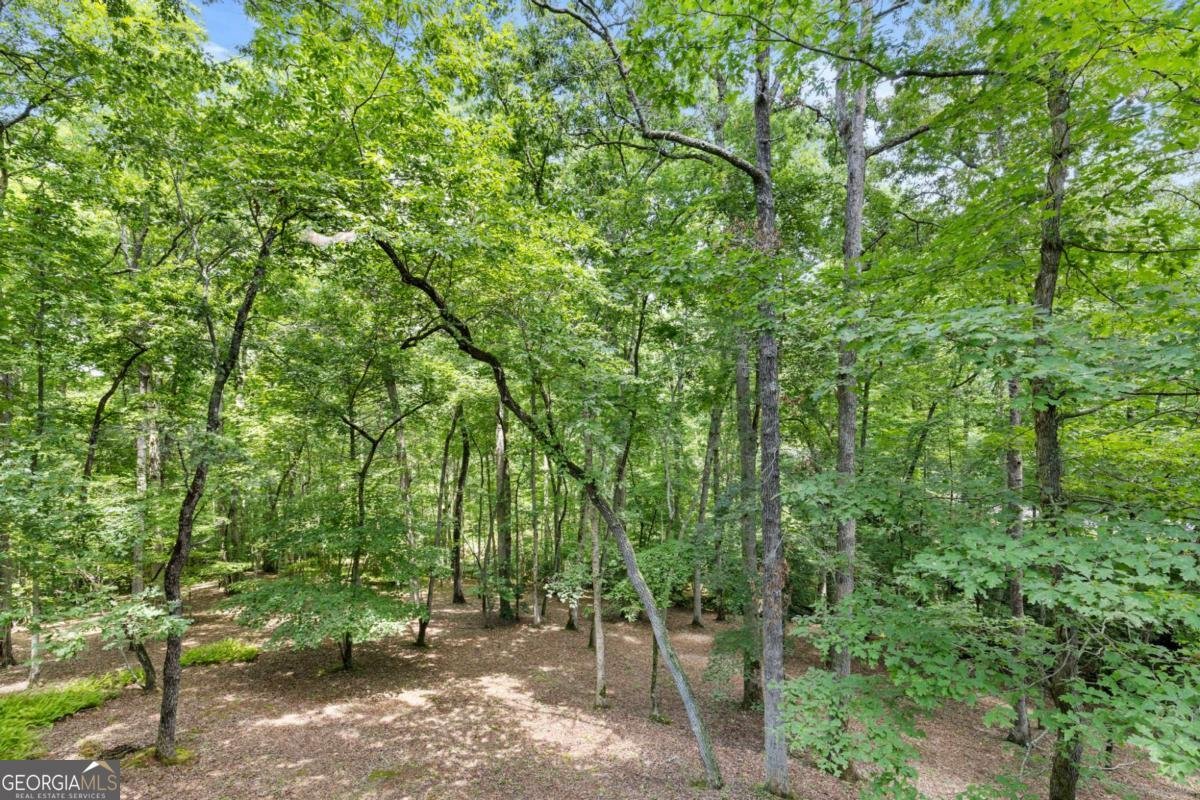 100 Arbor Way Blue Ridge - 19
