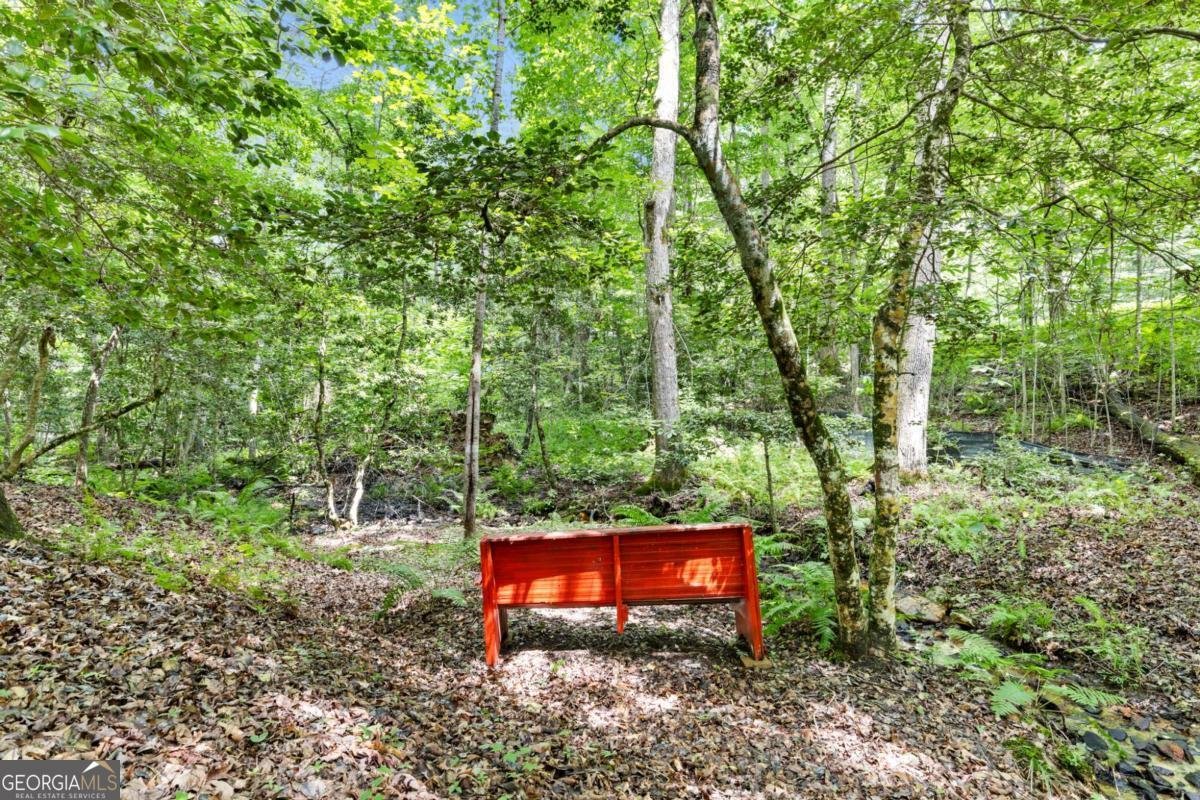 100 Arbor Way Blue Ridge - 38