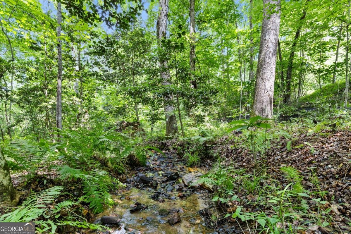 100 Arbor Way Blue Ridge - 39
