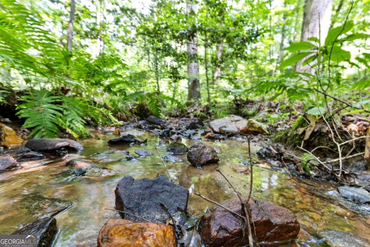 100 Arbor Way Blue Ridge - 40