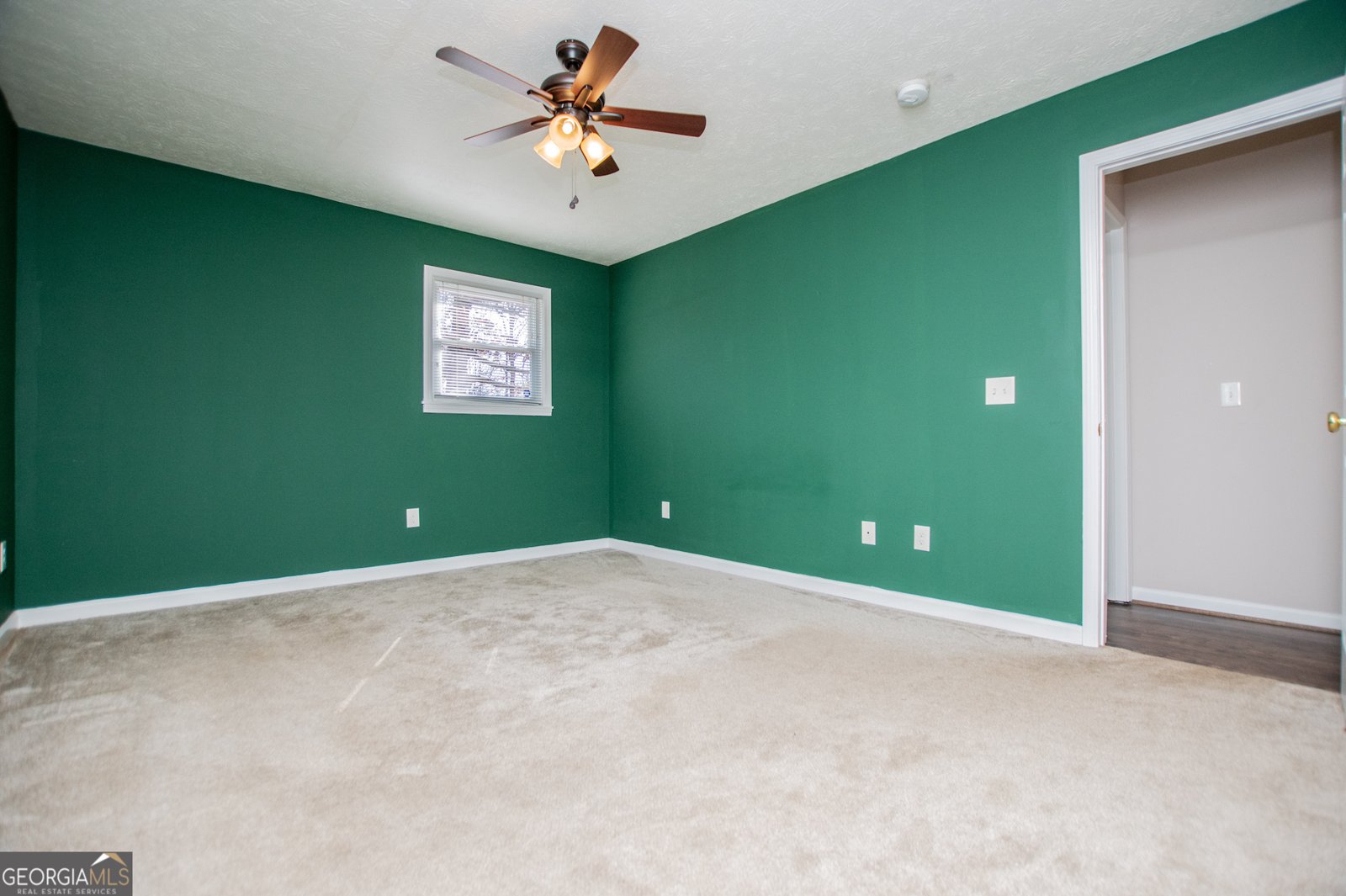 206 Antioch Church Road Carrollton - 20