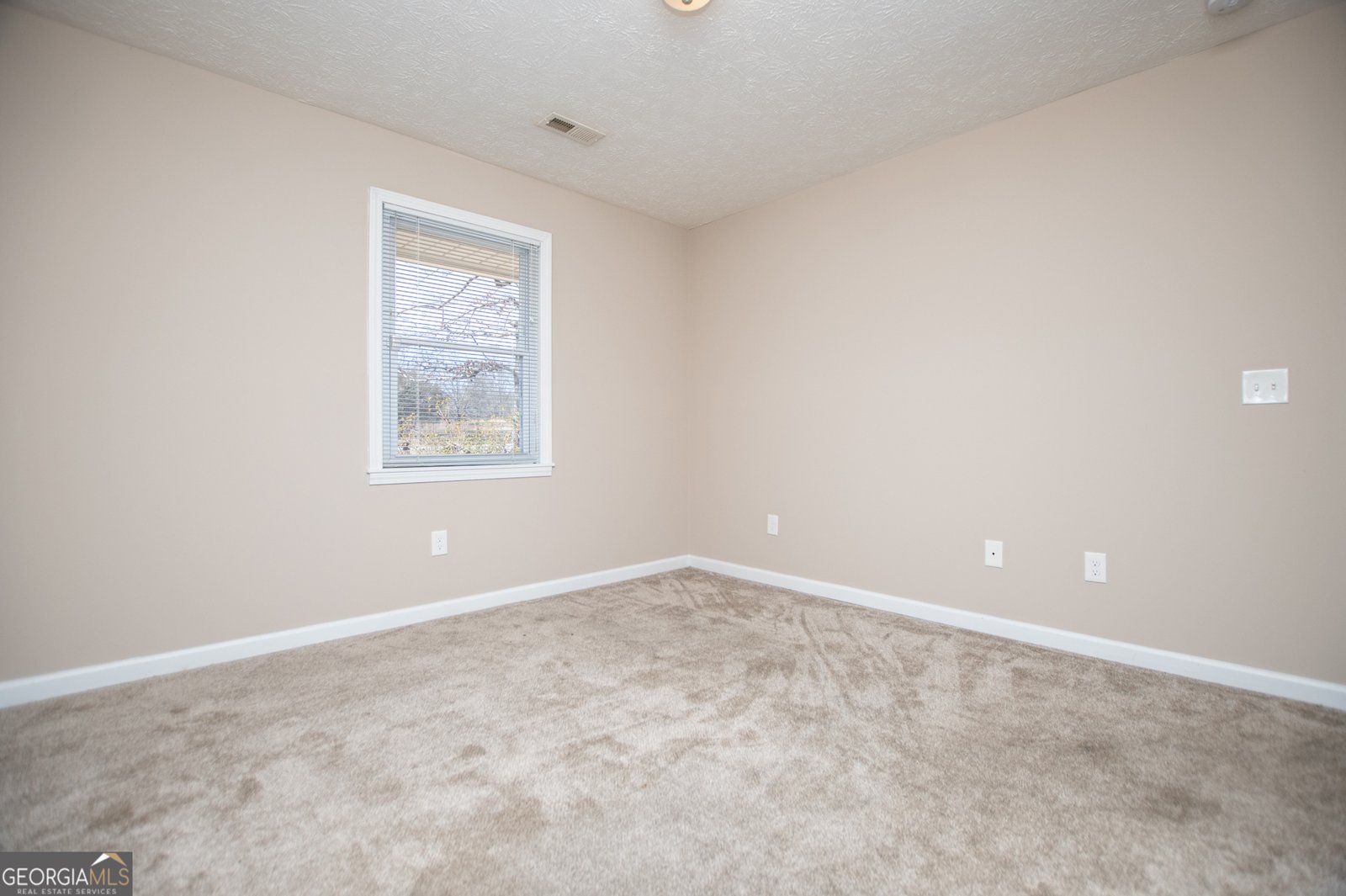 206 Antioch Church Road Carrollton - 29