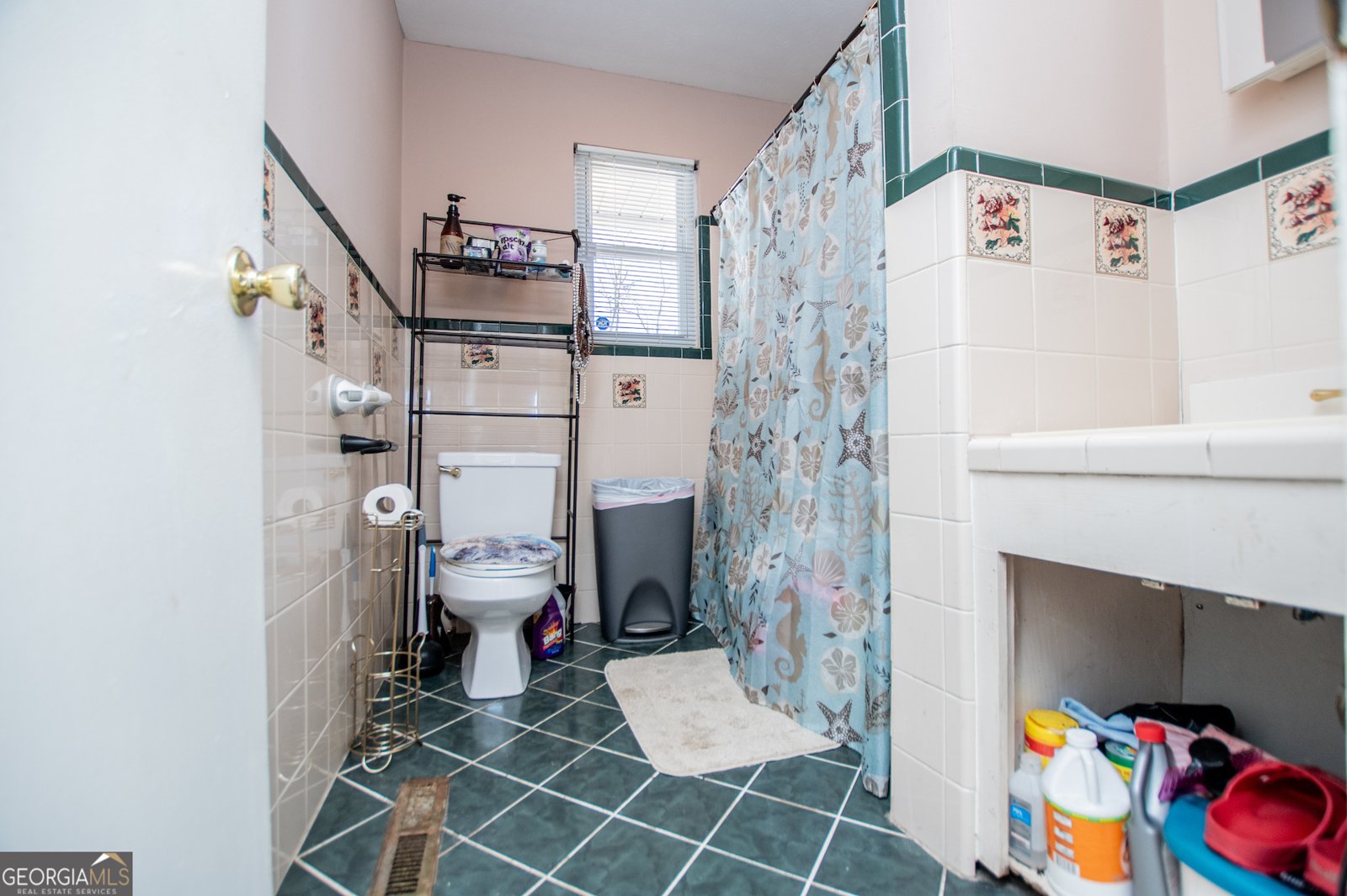 206 Antioch Church Road Carrollton - 43