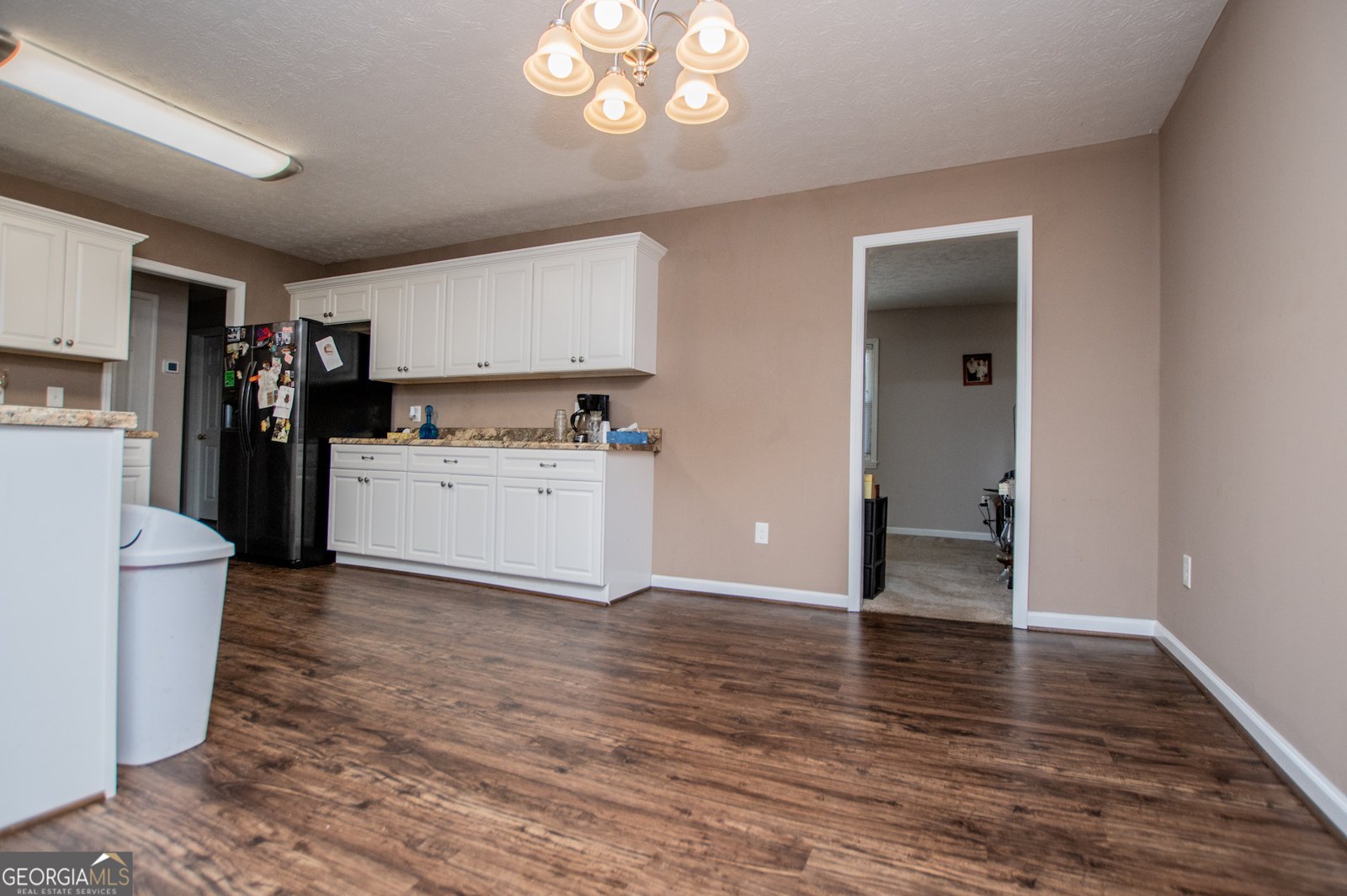 206 Antioch Church Road Carrollton - 8
