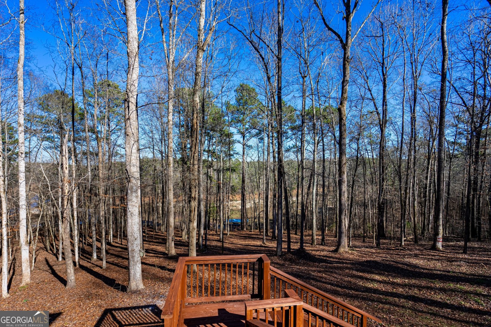 49 Post Oak Drive Lagrange - 34