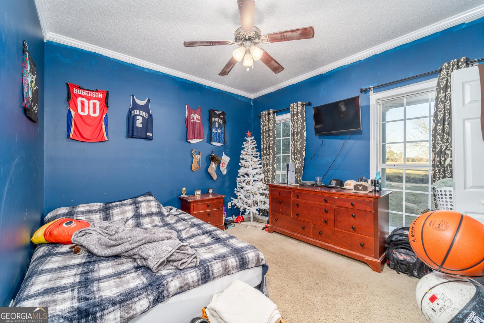 4311 Carson Road Blackshear - 2