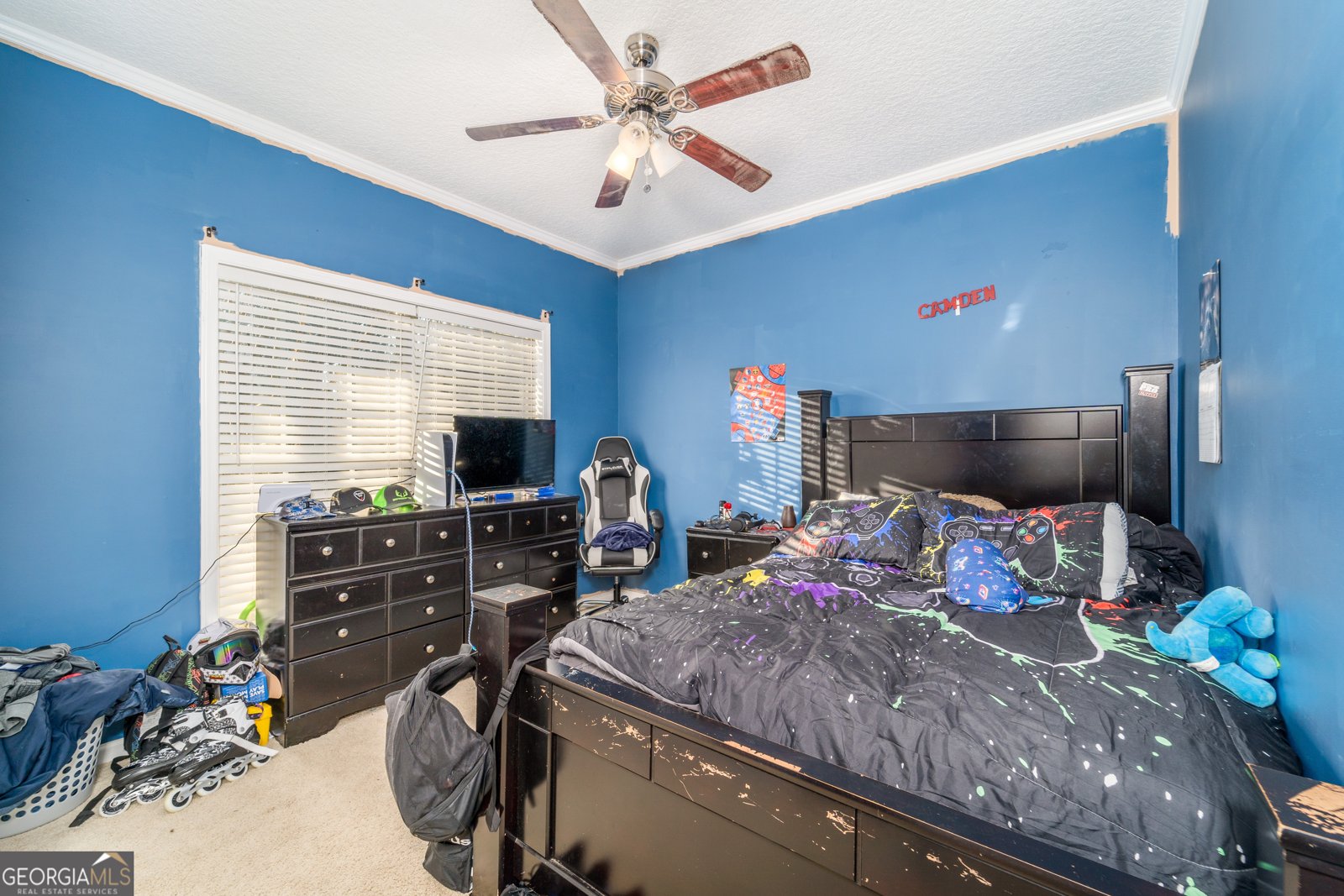 4311 Carson Road Blackshear - 43