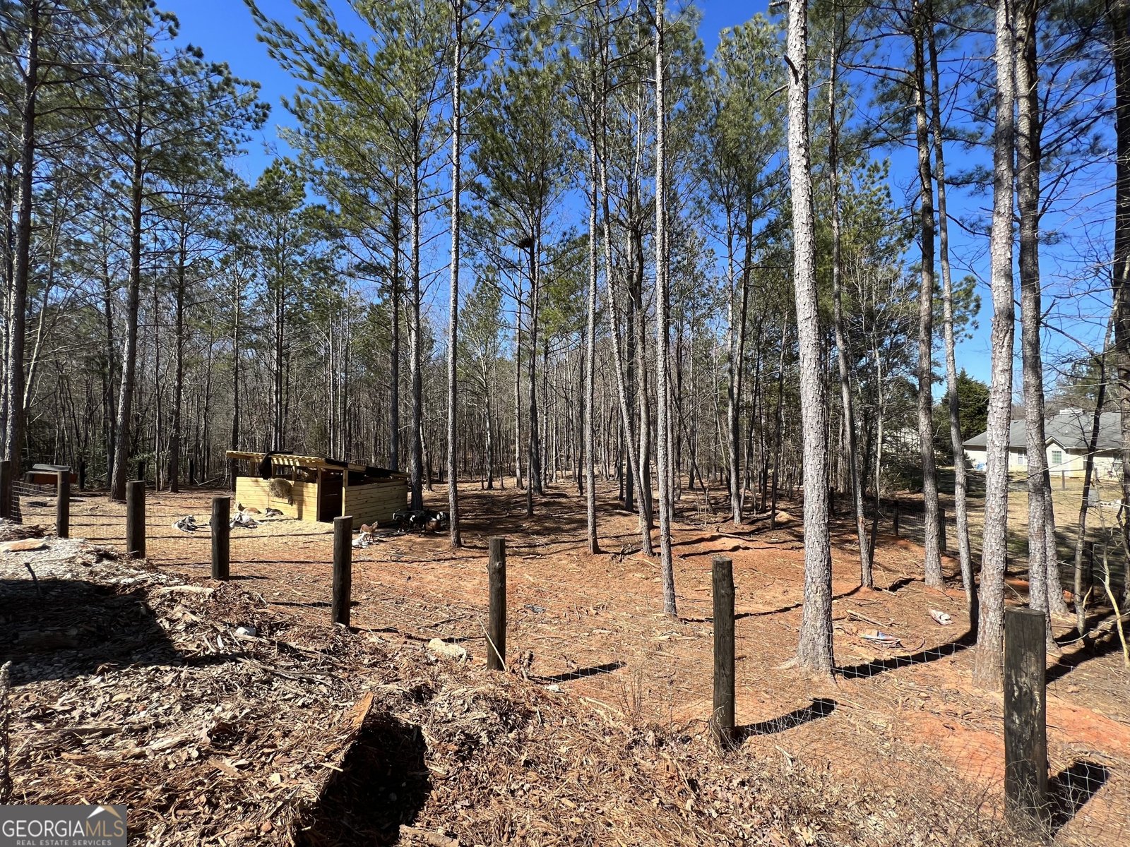 613 Bill Rutledge Road Winder - 80