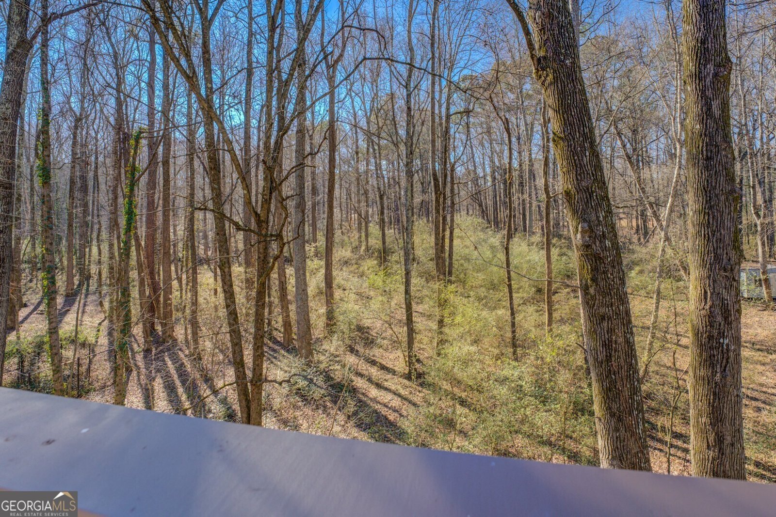 169 Holly Court Loganville - 35
