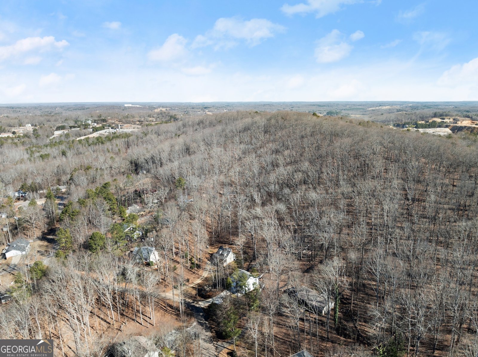 5055 PEACH MOUNTAIN Circle Gainesville - 39