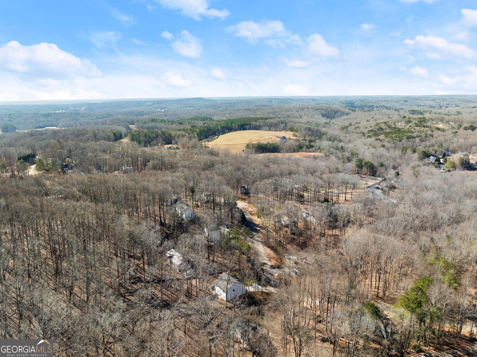 5055 PEACH MOUNTAIN Circle Gainesville - 44