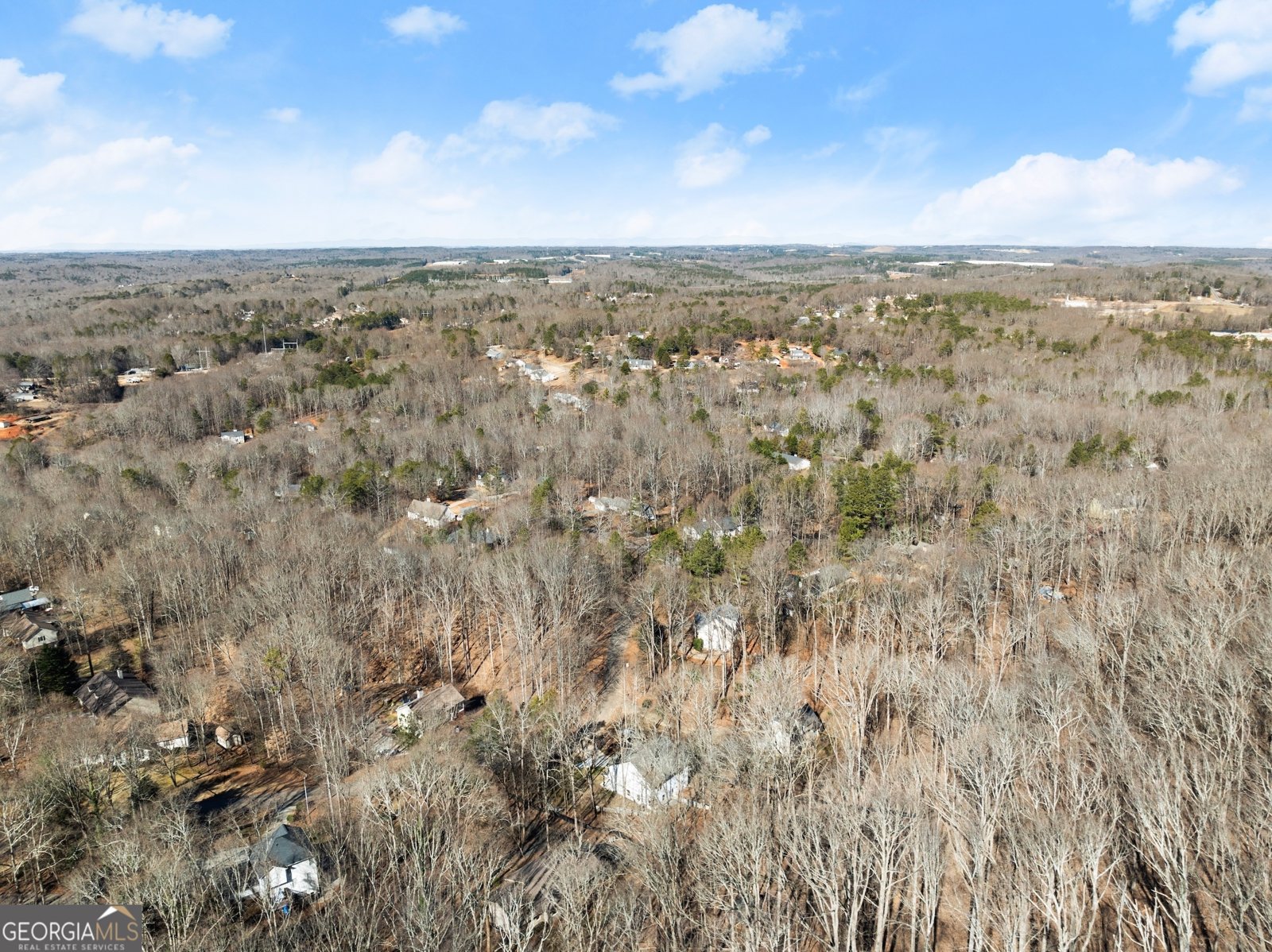 5055 PEACH MOUNTAIN Circle Gainesville - 45