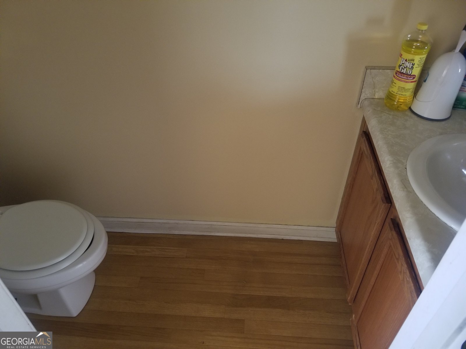 2590 Wellington Walk Place Lithonia - 4