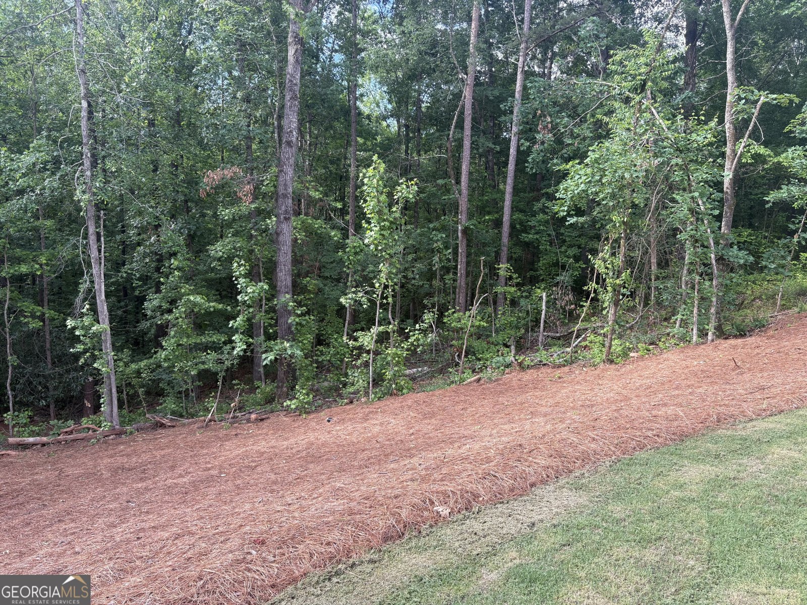 4786 Conns Creek Road Ball Ground - 10