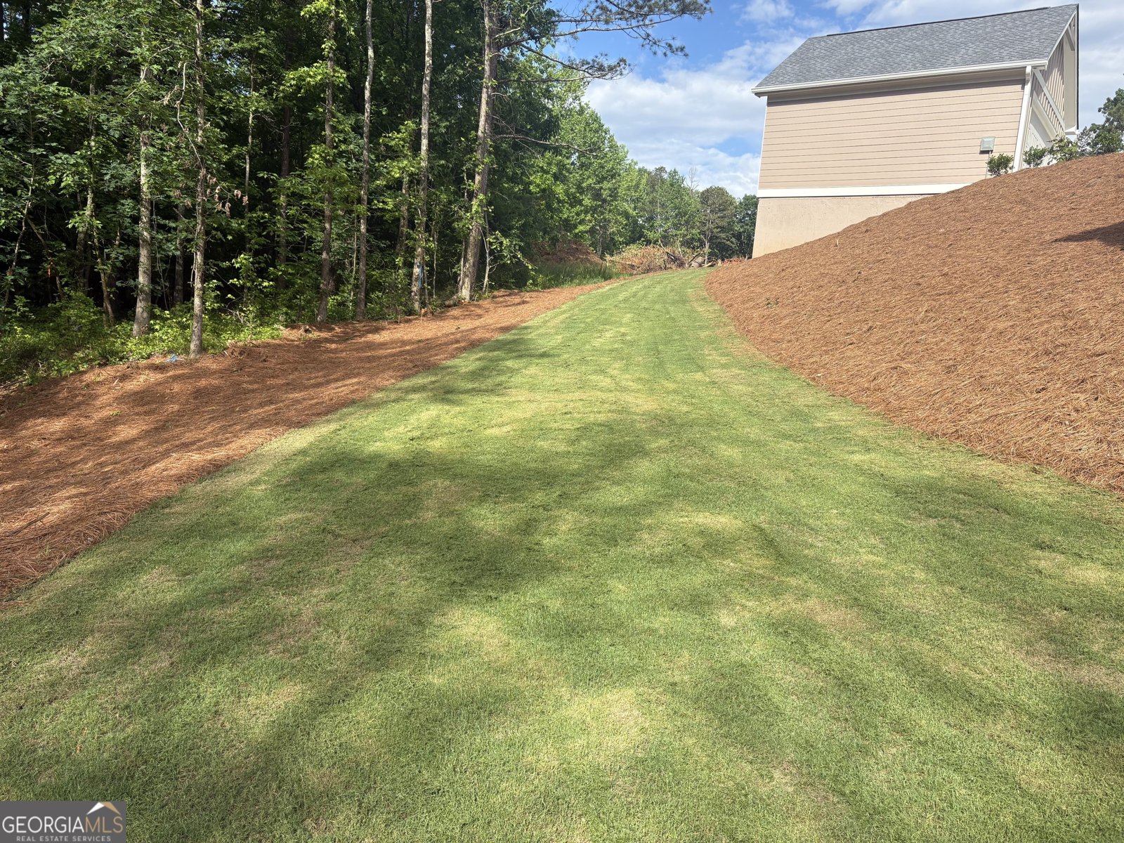 4786 Conns Creek Road Ball Ground - 11