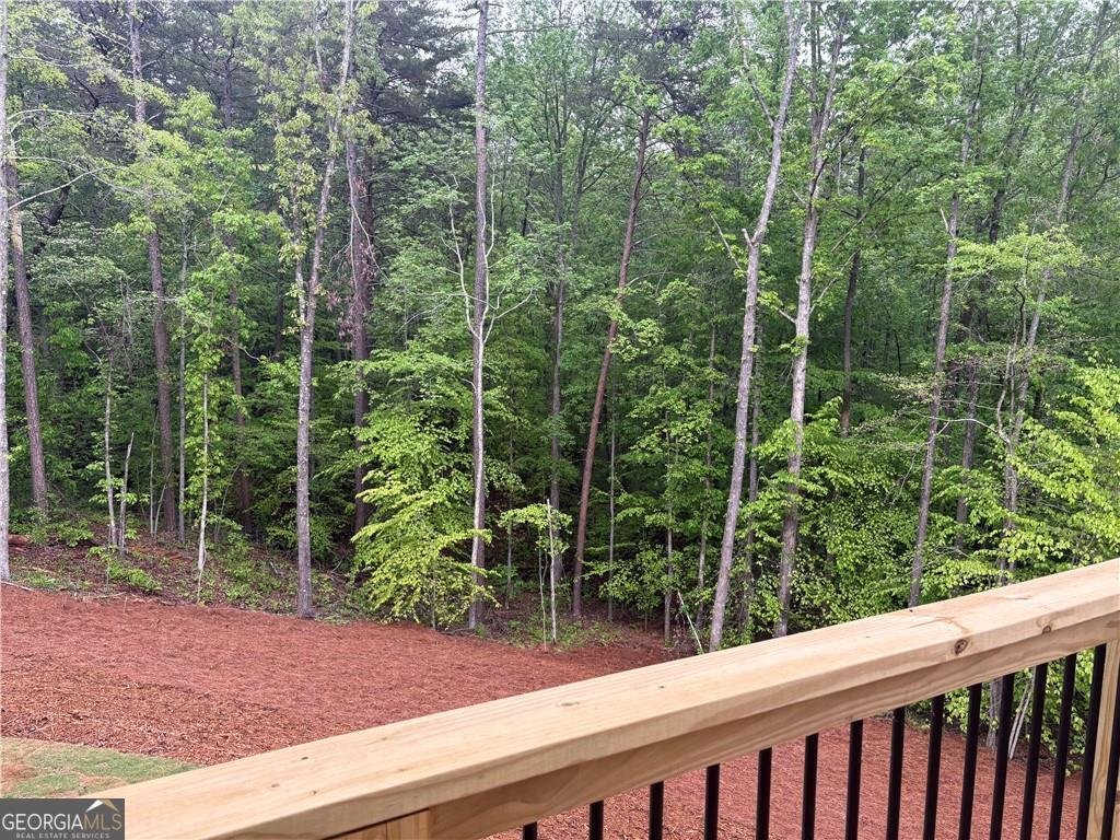 4786 Conns Creek Road Ball Ground - 9