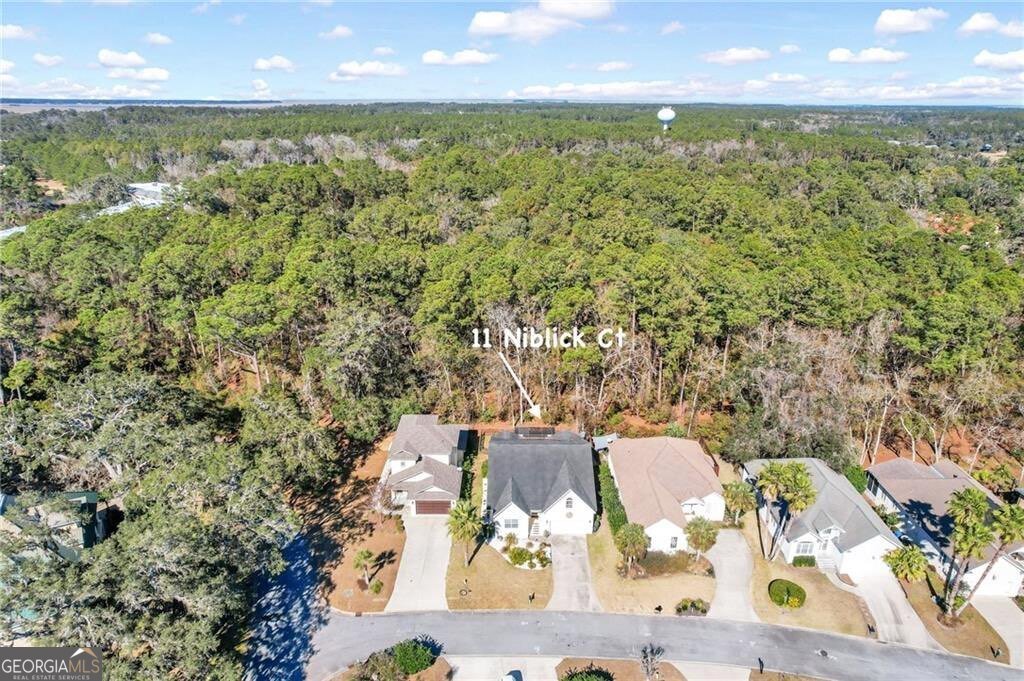 11 Niblick Court St. Simons - 38