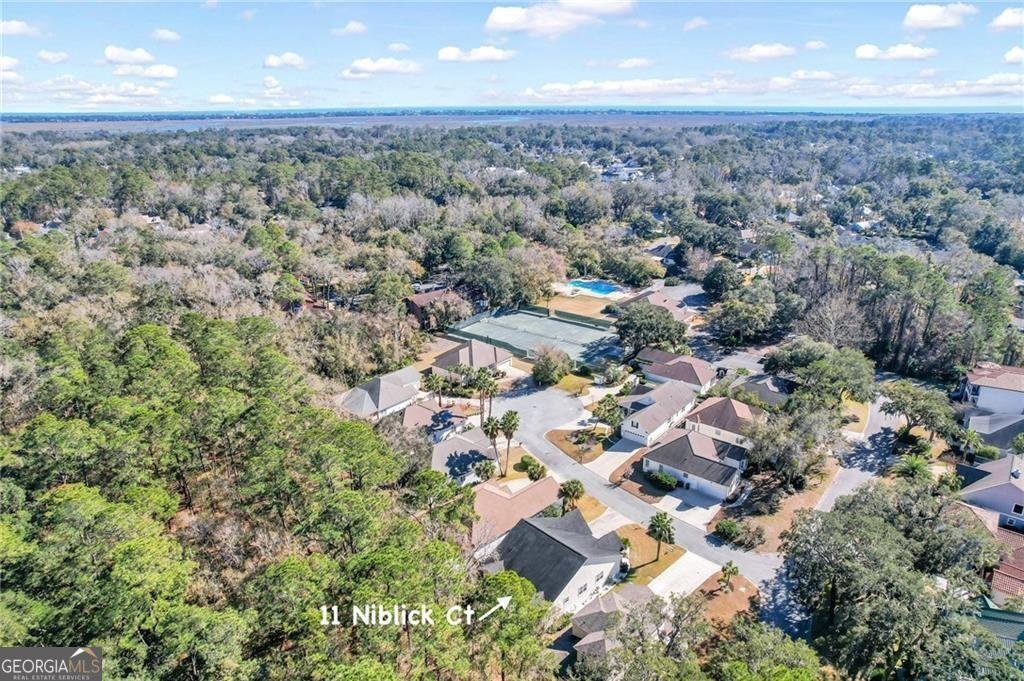 11 Niblick Court St. Simons - 48