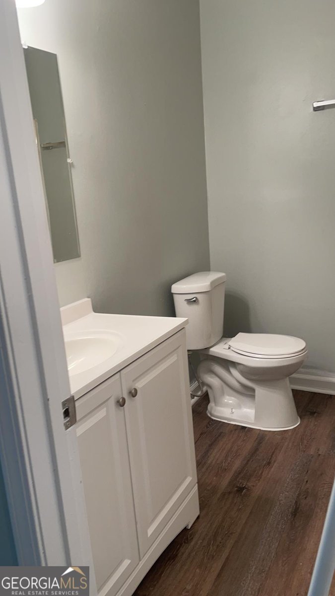 2522 Horseshoe Bend Road Marietta - 17