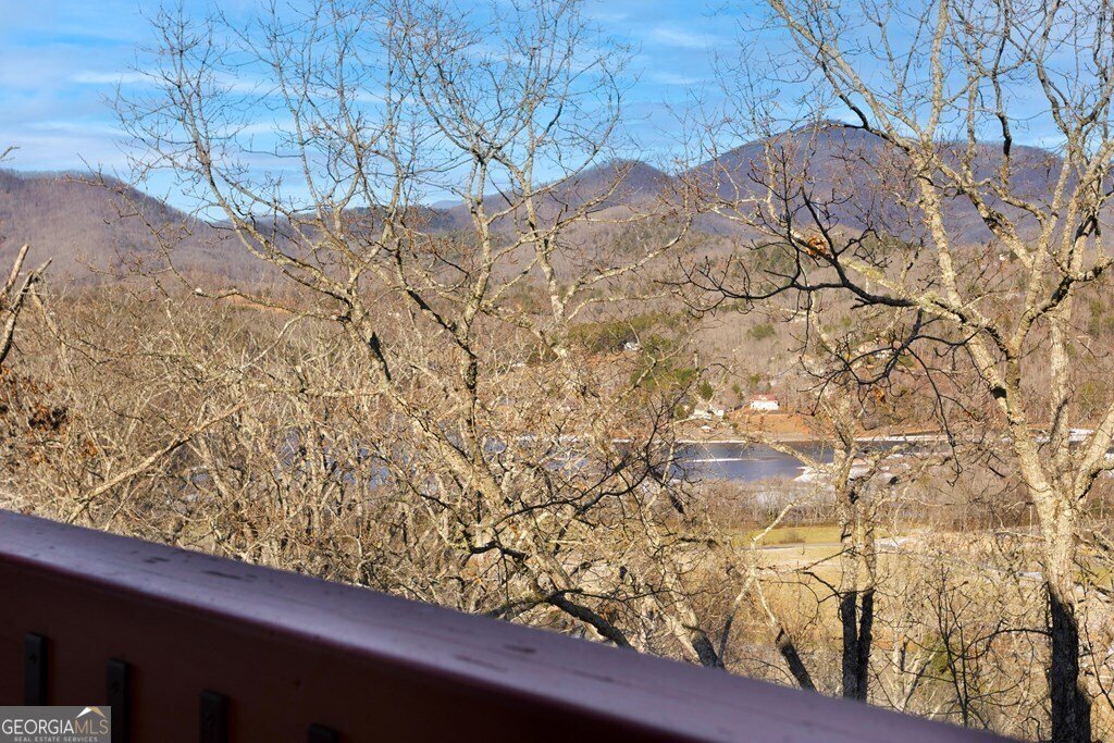 1613 Clark Drive Hiawassee - 4