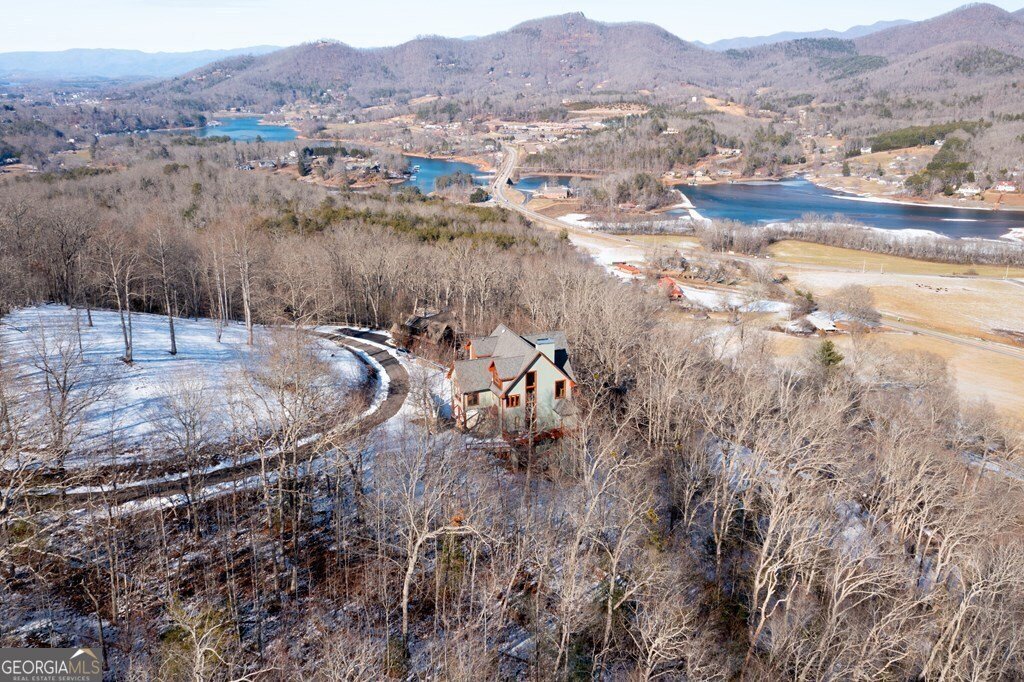 1613 Clark Drive Hiawassee - 61