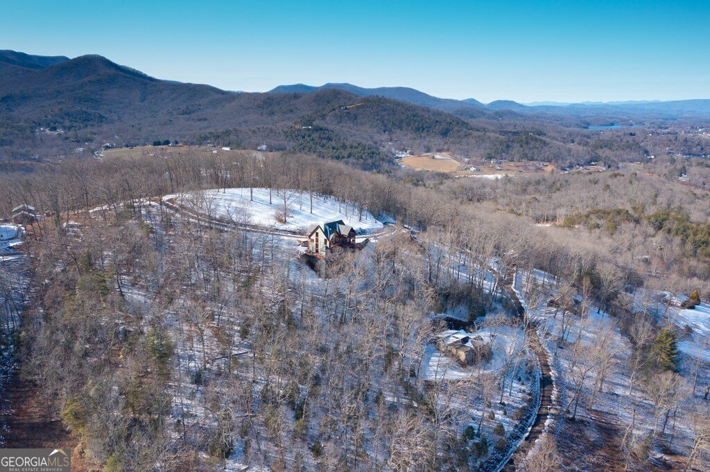 1613 Clark Drive Hiawassee - 64