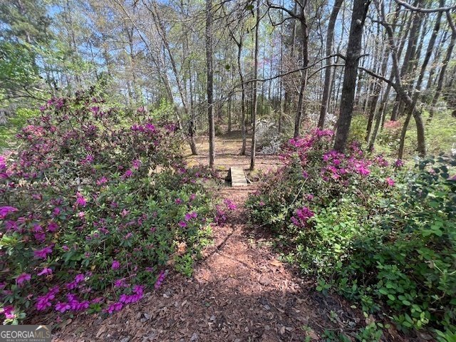 253 Price Road Pine Mountain - 10