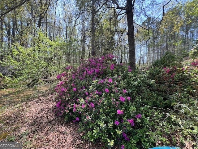 253 Price Road Pine Mountain - 11