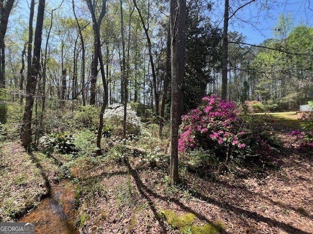 253 Price Road Pine Mountain - 7
