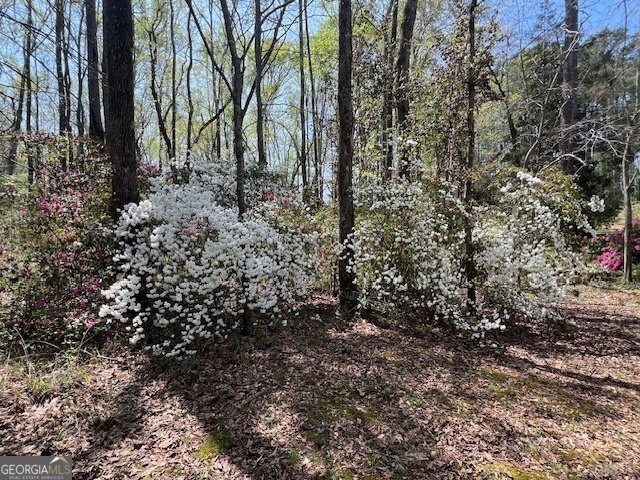 253 Price Road Pine Mountain - 8