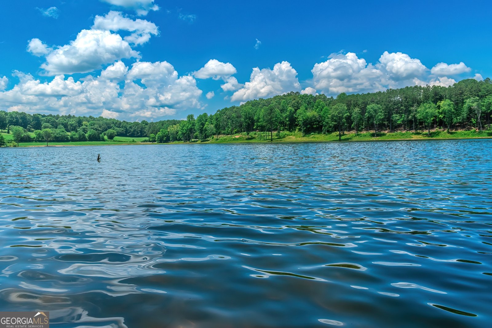 313 Walnut Road Blairsville - 13