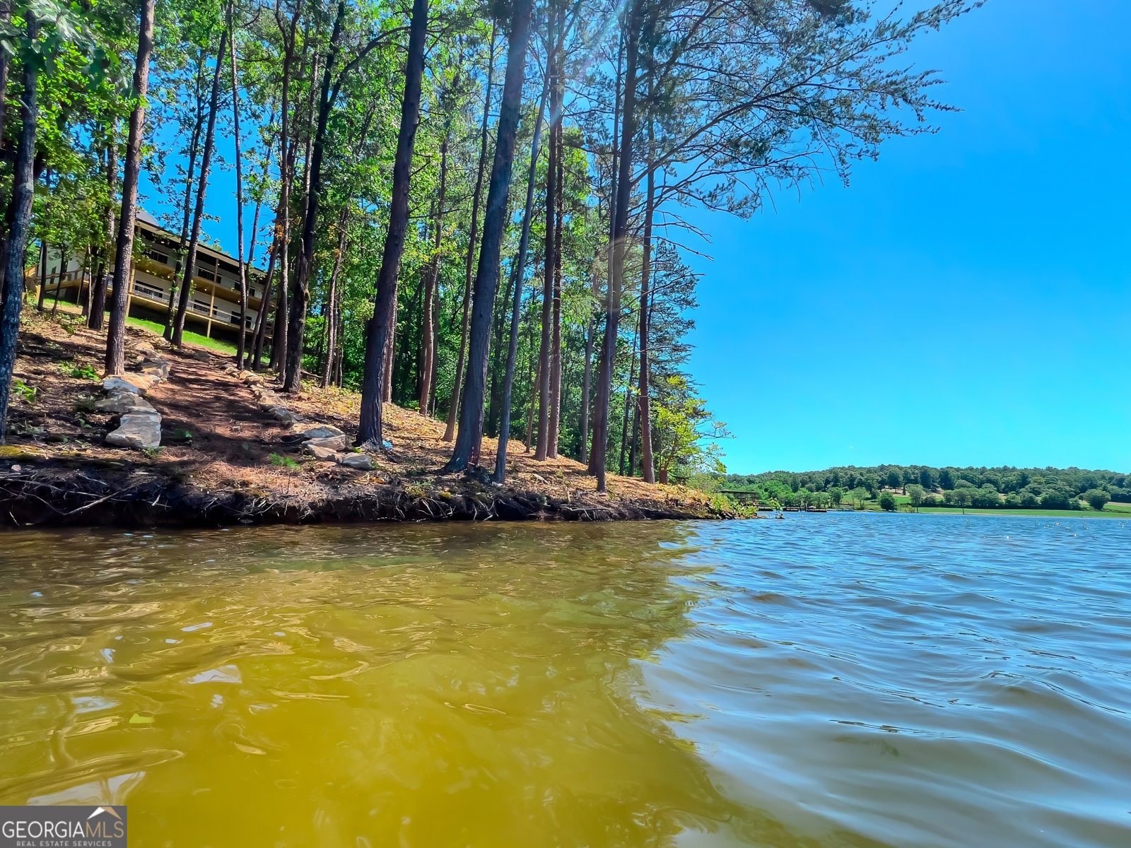 313 Walnut Road Blairsville - 14