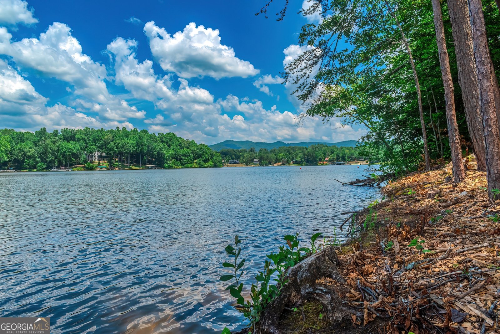 313 Walnut Road Blairsville - 50