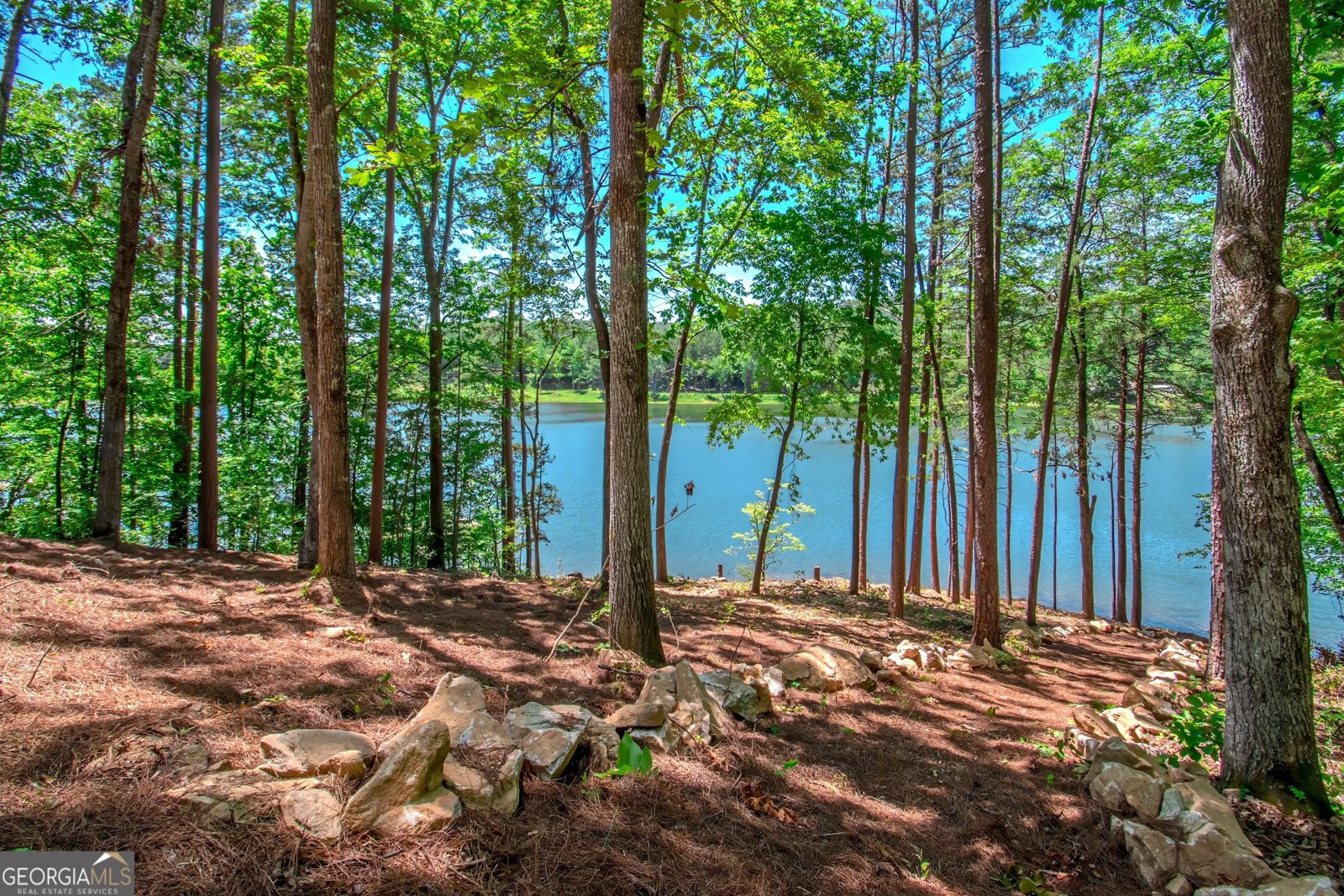 313 Walnut Road Blairsville - 63
