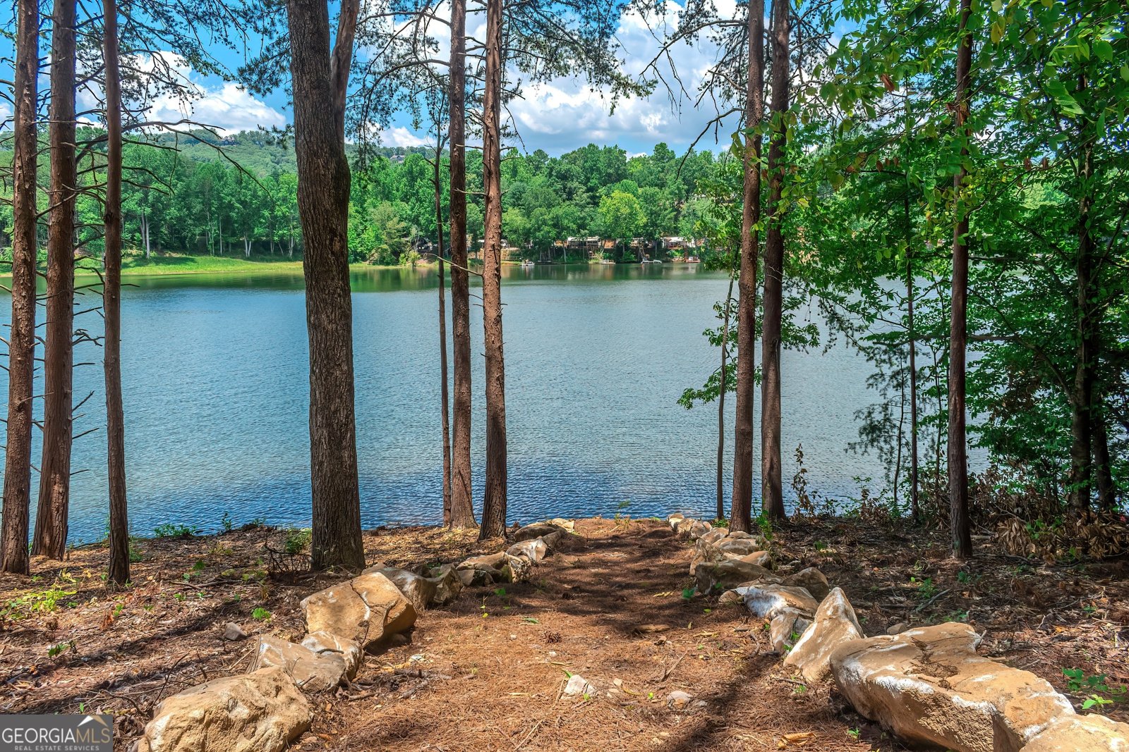 313 Walnut Road Blairsville - 64