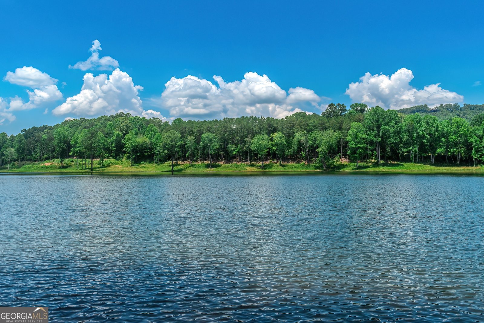 313 Walnut Road Blairsville - 65