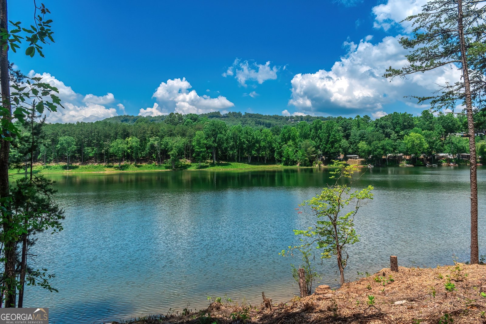 313 Walnut Road Blairsville - 66
