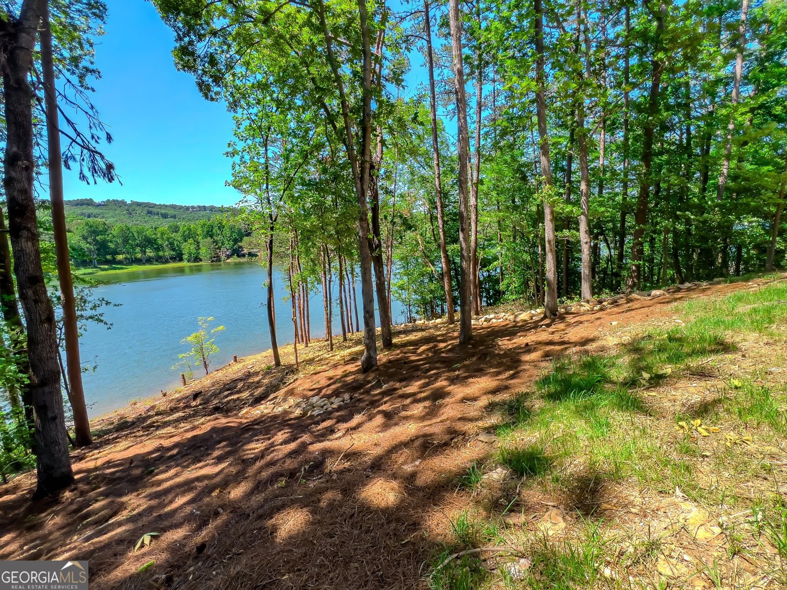 313 Walnut Road Blairsville - 68