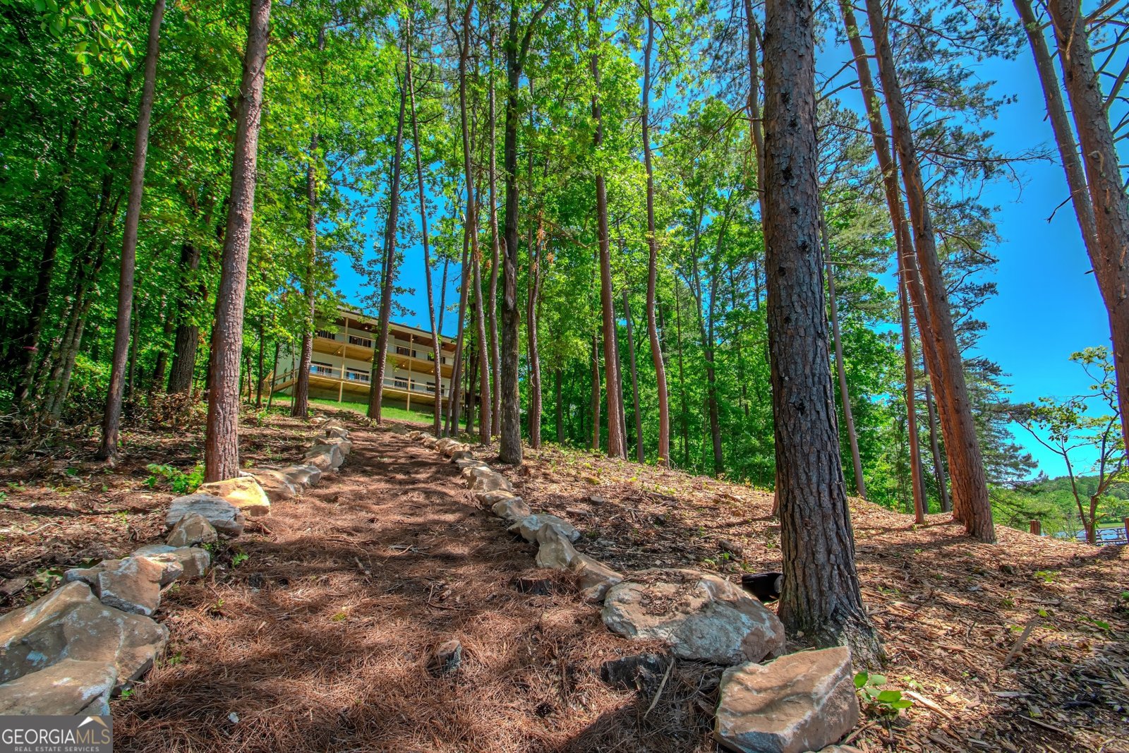 313 Walnut Road Blairsville - 76