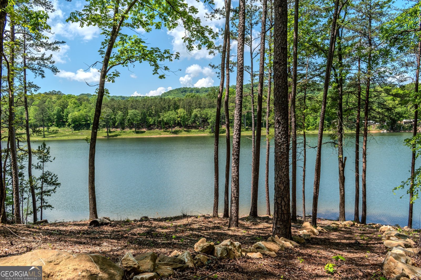 313 Walnut Road Blairsville - 77
