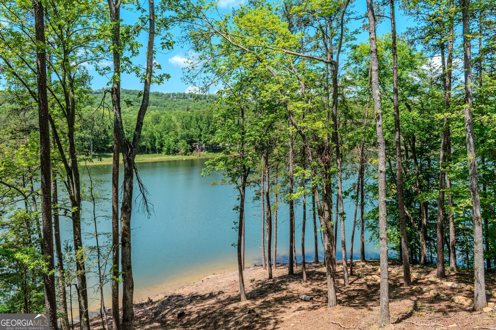 313 Walnut Road Blairsville - 79