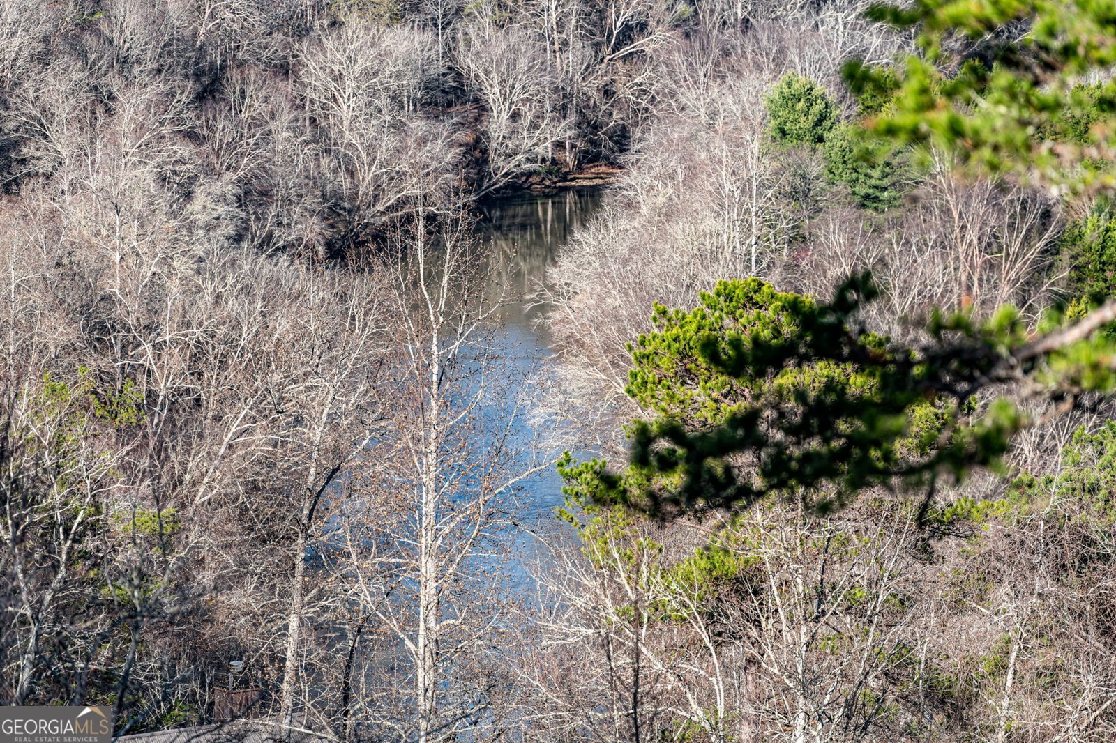 140 Riverview Terrace Blue Ridge - 60