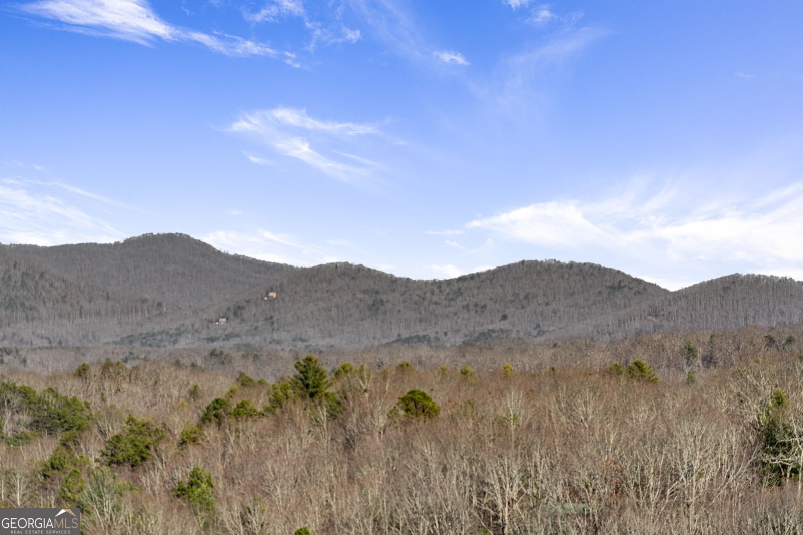 140 Riverview Terrace Blue Ridge - 75