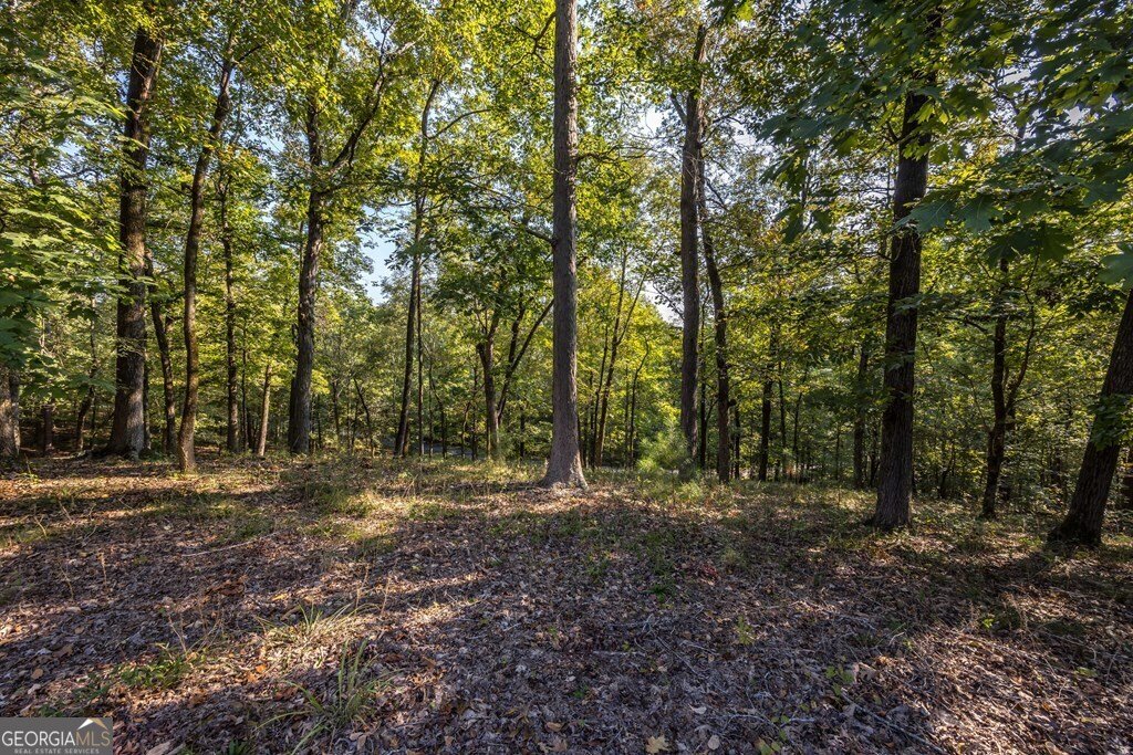 172-6 Almond Ridge Drive Fortson - 21