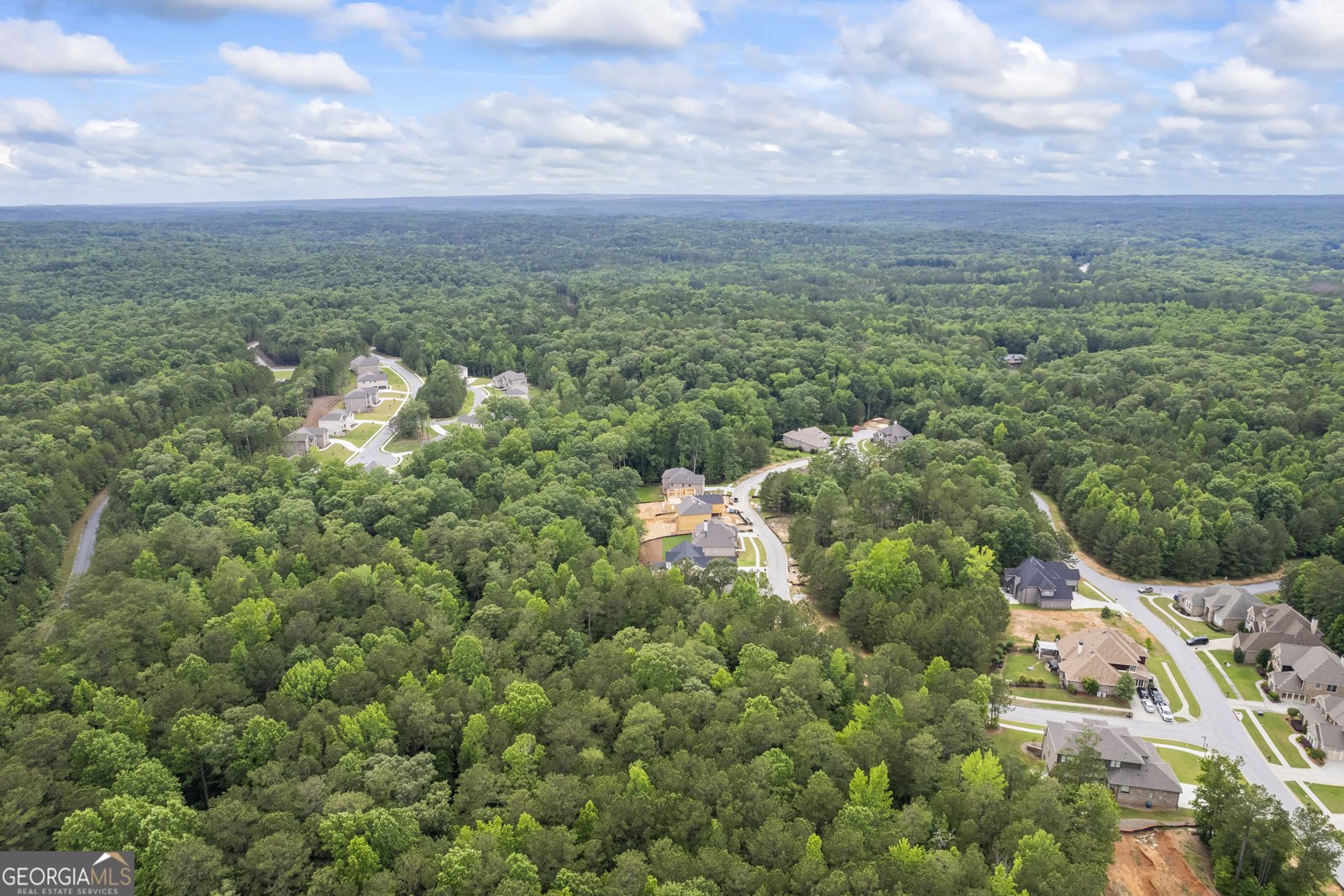 4267 Matisse Lane Fairburn - 74