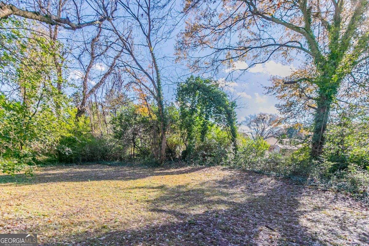 3147 Canary Court Decatur - 30