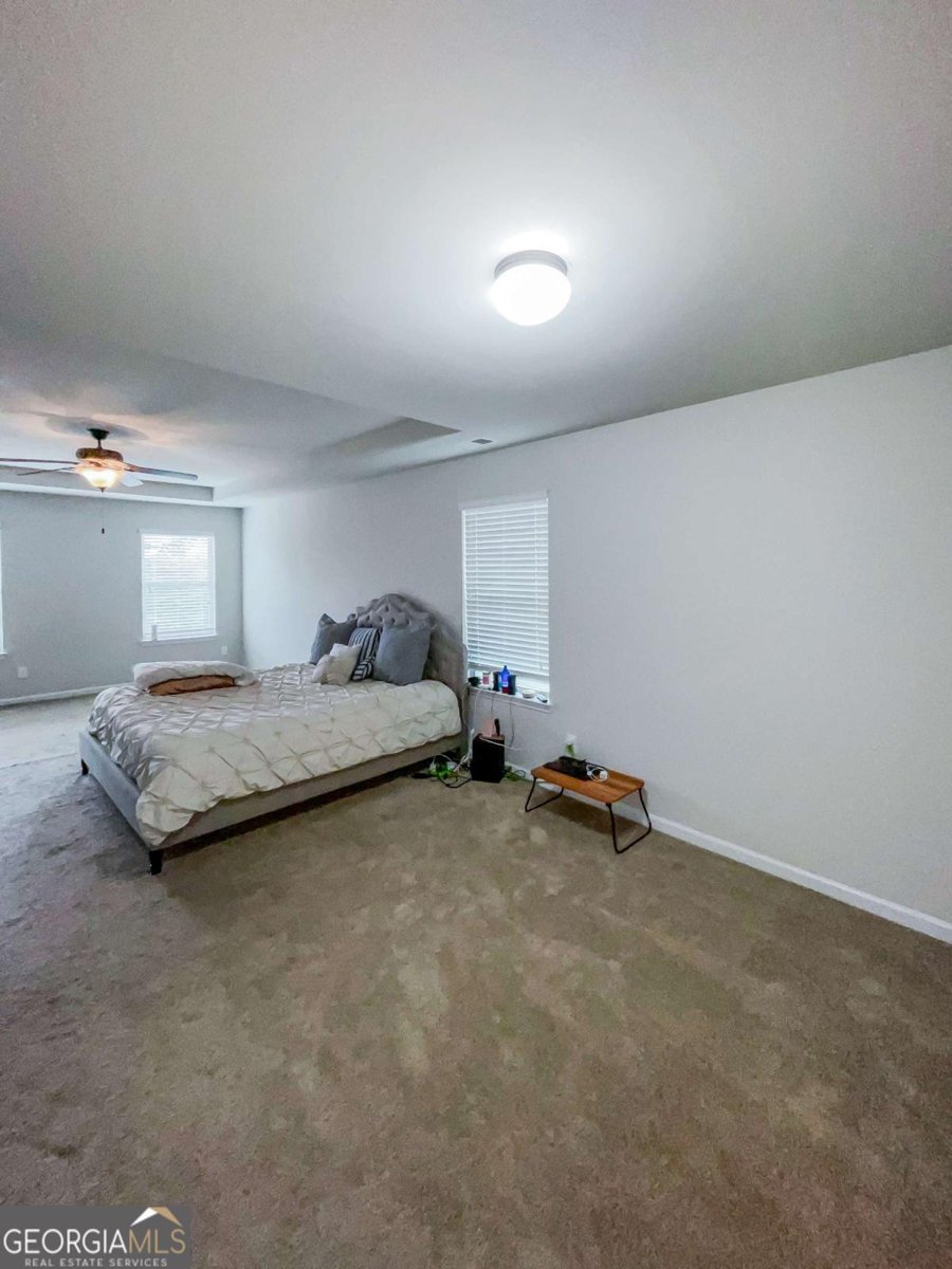 231 Magnaview Drive Mcdonough - 11