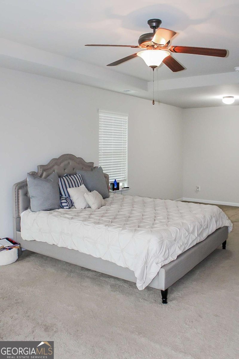 231 Magnaview Drive Mcdonough - 13