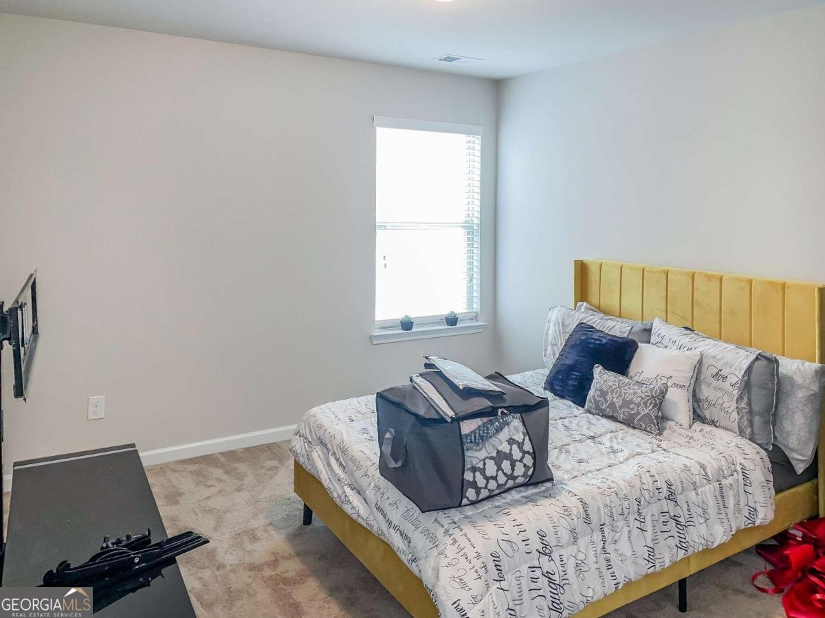231 Magnaview Drive Mcdonough - 20
